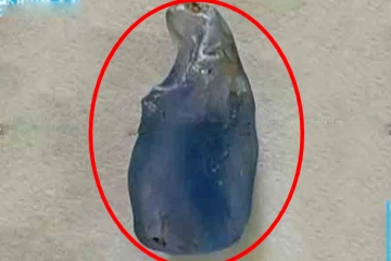 இலங்கை வடிவில் அரிய இயற்கை நீலக்கல்