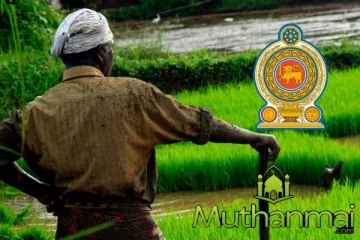 வன விலங்குகளால் பயிர்களுக்கு ஏற்படும் பாதிப்புக்கள்: அரசாங்கத்தின் தீர்மானம்