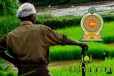 வன விலங்குகளால் பயிர்களுக்கு ஏற்படும் பாதிப்புக்கள்: அரசாங்கத்தின் தீர்மானம்