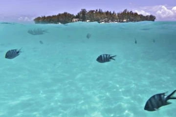 கடல்களை பற்றி சுவாரஸ்யமான 10 தகவல்கள்!