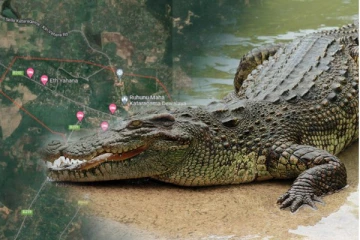 மாணிக்க கங்கையில் நீராட சென்ற வயோதிப பெண்ணுக்கு நேர்ந்த கதி!