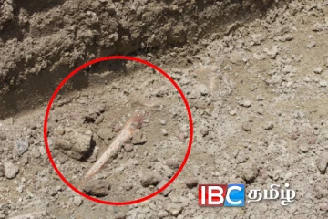 செம்மணியில் மனிதப் பேரவலம் : சிரமதானத்தின்போதும் வெளிக்கிளம்பும் மனித எச்சங்கள்