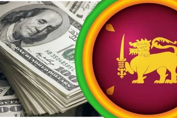 புலம் பெயர்ந்த இலங்கையரிடமிருந்து வந்து குவியும் டொலர்கள்