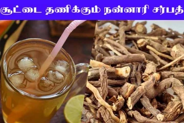 Nannari Sarbath: உடல் சூட்டை தணிக்கும் நன்னாரி சர்பத்- வீட்டிலேயே தயாரிப்பது எப்படி?