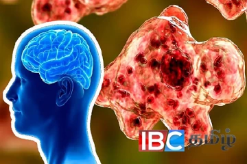 இந்தியாவில் வேகமாக பரவும் மூளை செல்களை உண்ணும் கொடிய அமீபா தொற்று