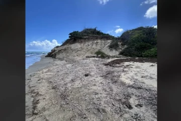 Optical illusion: கண்பார்வையை சோதிக்கலாம் இந்த படத்தில் குதிரை எங்கே உள்ளது?