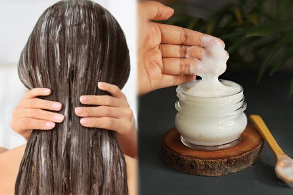 முட்டை VS தயிர்: கூந்தல் ஆரோக்கியத்தை மேம்படுத்துவதில் சிறந்தது எதுன்னு தெரியுமா? | Which Is Better For Hair Growth Egg Or Curd முட்டை VS தயிர்: கூந்தல் ஆரோக்கியத்தை மேம்படுத்துவதில் சிறந்தது எதுன்னு தெரியுமா? | Which Is Better For Hair Growth Egg Or Curd