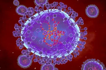 වෛරසයක් වසංගත මට්ටමටත් වඩා ඉහළට - එන්නතකුත් නෑ..