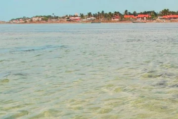 தொடந்தும்   யாழில் கரையொதுங்கும் சடலங்கள் ; பீதியில்  மக்கள்