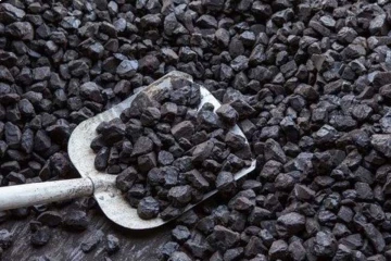 ආනයනය කරන ලද ගල්අඟුරු නොරොච්චෝලේ ලක්විජය බලාගාරයේ ජනනයට නුසුදුසුයි