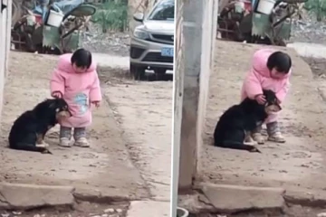 பயப்படாதே! நான் இருக்கிறேன்.... இணையத்தை தெறிக்கவிட்ட சிறுமி! மில்லியன் பேர் ரசித்த காட்சி