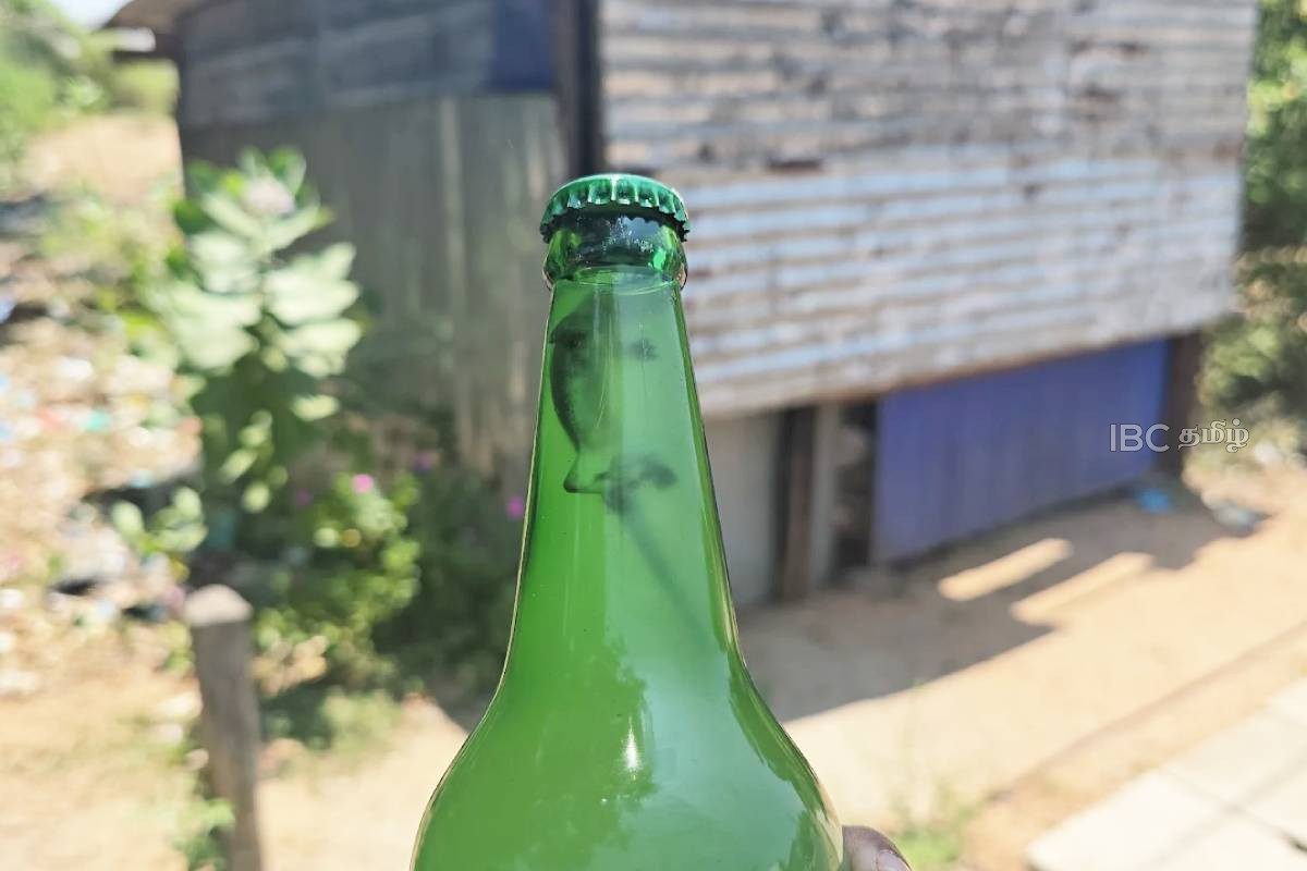 கள்ளு போத்தலுக்குள் இறந்து கிடந்த பல்லி! உடன் எடுக்கப்பட்டுள்ள நடவடிக்கை | Body Of A Death Lizard In The Bushes Mannar