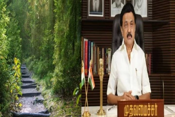 இந்த நிலைக்கு நீங்களே காரணம் : தமிழக வனத்துறைக்கு முதலமைச்சர் .ஸ்டாலின் பாராட்டு