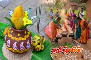 நாடளாவிய ரீதியில் சிறப்பாகக் கொண்டாடப்பட்ட பொங்கல் திருநாள்