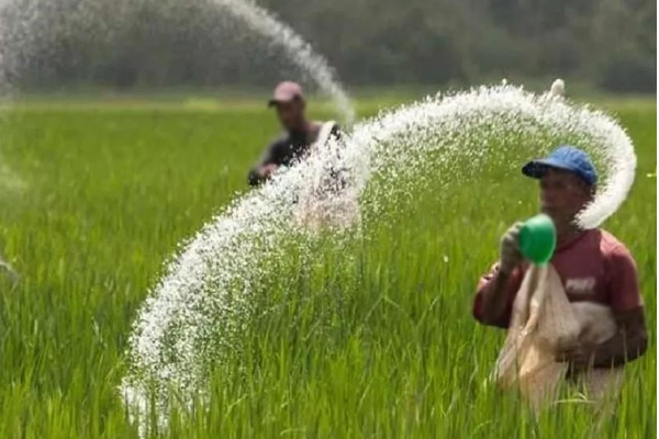 சீனர்களின் நடமாட்டத்தைக் குறைத்து இந்திய முதலீட்டாளர்களைப் பயன்படுத்த வேண்டும் - கோவிந்தன் கருணாகரம் | Reduce The Movement Chinese Use Indian Investors சீனர்களின் நடமாட்டத்தைக் குறைத்து இந்திய முதலீட்டாளர்களைப் பயன்படுத்த வேண்டும் - கோவிந்தன் கருணாகரம் | Reduce The Movement Chinese Use Indian Investors