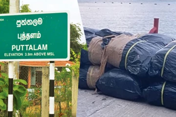 புத்தளத்தில் பெருந்தொகையான பீடி இலைகள் மீட்பு