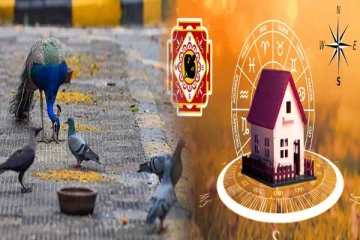 உங்கள் வீட்டை தேடி இந்த பறவை, விலங்குகள் வருகிறதா? அப்போ உங்களுக்கு அதிர்ஷ்டம் தான்