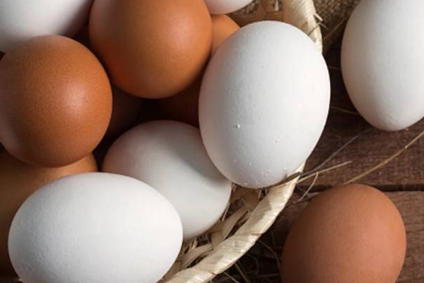 இலங்கையில் முட்டை விலை குறித்து வெளியான முக்கிய தகவல்! | Information About The Price Of Eggs In Sri Lanka