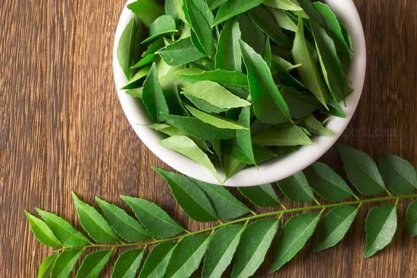 curry leaf side effects