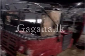 මල් වෙඩිල්ලක් කරපු හදියක්..