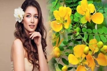 கண்ணாடி போல சருமம் வேண்டுமா? ஆவாரம் பூ இருந்தா போதும்