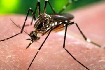 தமிழக கேரள  எல்லையில் யாருக்கும் ஜிகா வைரஸ் இல்லை: அமைச்சர் சுப்பிரமணியன்