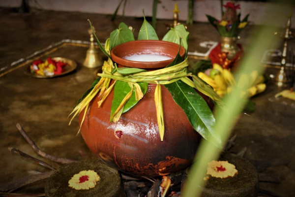 நாட்டில் பொருளாதார வளம் கொழிக்க பொங்கலிடுவோம் | Thai Pongal 2026 நாட்டில் பொருளாதார வளம் கொழிக்க பொங்கலிடுவோம் | Thai Pongal 2026