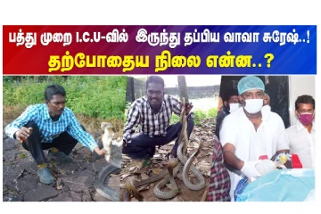பாம்பு பிடி மன்னன் - பத்துமுறை I.C.Uவில் இருந்து தப்பிய வாவா சுரேஷ்... - தற்போதைய நிலை என்ன?