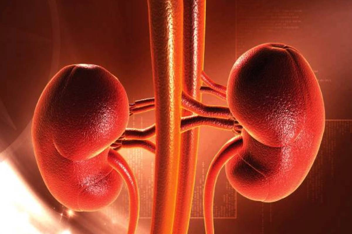 சிறுநீரகங்களைச் சுத்தப்படுத்தும் இயற்கை வழிகள் | How To Clean Kidney Naturally At Home