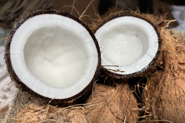 நாட்டில் தேங்காய் விலையில் ஏற்பட்டுள்ள திடீர் மாற்றம் | Sudden Change In Coconut Prices In The Country