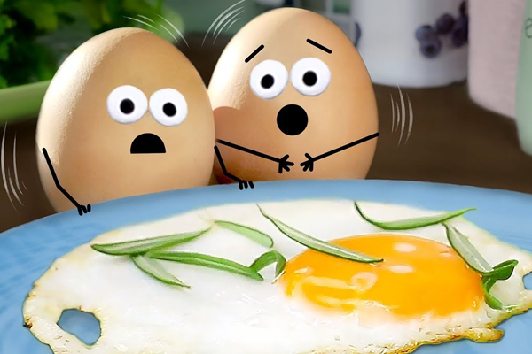 முட்டை பிரியர்களுக்கான எச்சரிக்கை தகவல் | Warning For Egg Lovers