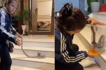 படமெடுத்து சீறிய நாகபாம்பு! அசால்டாக பிடித்த இளம்பெண்ணின் பகீர் காட்சி