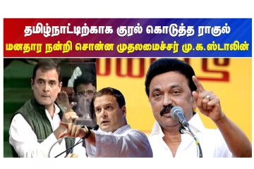 தமிழ்நாட்டிற்காக குரல் கொடுத்த ராகுல் - மனதார நன்றி சொன்ன முதலமைச்சர் மு.க.ஸ்டாலின்