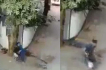 தெருவில் சிறுமியை கொடூரமாகத் தாக்கிய நாய்! ஓடிவந்த தாய் செய்த தரமான சம்பவம்