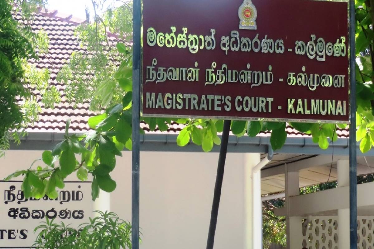 கதிர்காம யாத்திரை நாயைத் தாக்கிய இளைஞருக்கு 100 ரூபாய் அபராதம் | Attacked A Dog During The Kataragama Pilgrimage கதிர்காம யாத்திரை நாயைத் தாக்கிய இளைஞருக்கு 100 ரூபாய் அபராதம் | Attacked A Dog During The Kataragama Pilgrimage
