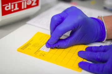 ஜேர்மனியில் போலி கொரோனா தடுப்பூசி சான்றிதழ்கள் விற்ற தம்பதியர்