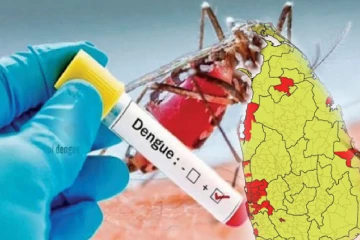 டெங்கு உயிரிழப்பு 53 ஆக அதிகரிப்பு! 74 ஆயிரத்துக்கும் மேற்பட்டோர் பாதிப்பு