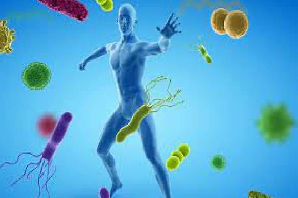 ஒரு ஸ்பூன் முருங்கைப்பொடியில் இத்தனை நன்மைகளா? | So Many Benefits In Spoonful Of Drumstick Powder ஒரு ஸ்பூன் முருங்கைப்பொடியில் இத்தனை நன்மைகளா? | So Many Benefits In Spoonful Of Drumstick Powder