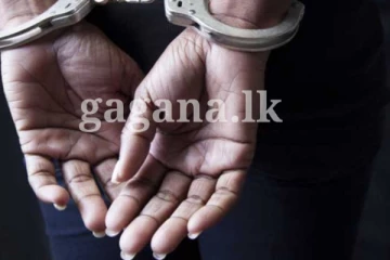 විවිධ වර්ගයේ, මත්ද්‍රව්‍ය තොගයක් සමගින් කතක් අත්අඩංගුවට..