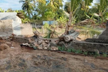 காட்டு யானைகளின் நடமாட்டம் ; அச்சத்துடன் வாழும் பொது மக்கள்