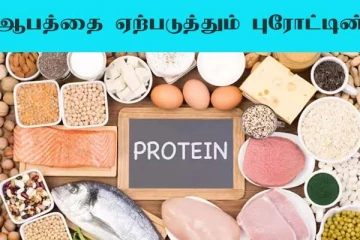 உயிருக்கு ஆபத்தை ஏற்படுத்தும் புரோட்டின்! ஒரு நாளைக்கு எவ்வளவு எடுத்துக்கணும்