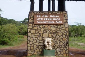 யால மற்றும் உடவலவை தேசிய பூங்காக்களை தற்காலிகமாக மூடுவது தொடர்பில் ஆலோசனை