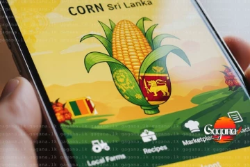 බඩඉරිඟුවලට විශේෂ App එකක්