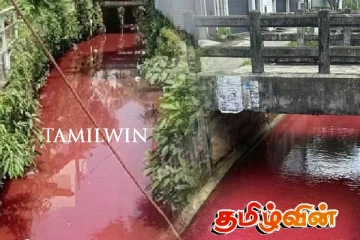 தெஹிவளையில் சிவப்பு நிறமாக மாறிய கால்வாய் - விசாரணையில் வெளியான தகவல்