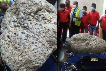 இலங்கையிலிருந்து கொண்டுசெல்லப்பட்ட உலகின் மிகப் பெரிய இரத்தினக்கல்!