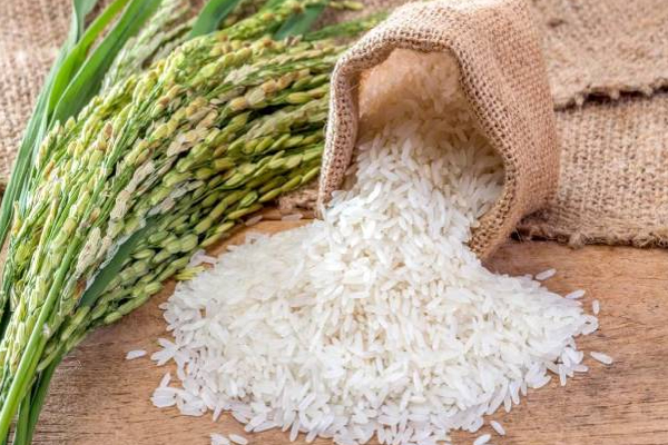 இலங்கையில் அரிசி தட்டுப்பாடு தொடர்பில் அமைச்சர் வெளியிட்ட முக்கிய அறிவிப்பு! | Sri Lanka No Possibility Of Shortage Of Rice