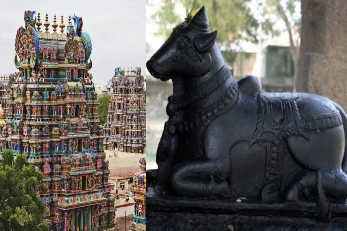 சிவன் கோவிலில் நந்தியின் காதில் ஏன் கிசுகிசுக்கிறார்கள்? பின்னணி காரணம் தெரியுமா? | Why Do Devotees Whisper Their Wishes Nandi S Ear சிவன் கோவிலில் நந்தியின் காதில் ஏன் கிசுகிசுக்கிறார்கள்? பின்னணி காரணம் தெரியுமா? | Why Do Devotees Whisper Their Wishes Nandi S Ear