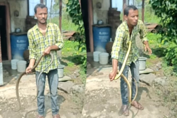 Viral Video: தன்னை பிடித்த நபரை ஆக்ரோஷமாக தாக்கிய பாம்பு... பயமுறுத்தும் காட்சி