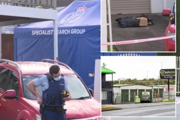 ஏலத்தில் வாங்கிய பெட்டிக்குள் இருந்த சிறுவர்களின் உடல்கள்: உறவினர்கள் ஆசிய நாட்டவர்கள் என தகவல்...