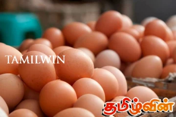 ஒரு முட்டையை 35 ரூபாவிற்கு விற்பனை செய்ய முடியும்: அகில இலங்கை முட்டை வர்த்தக சங்கம்